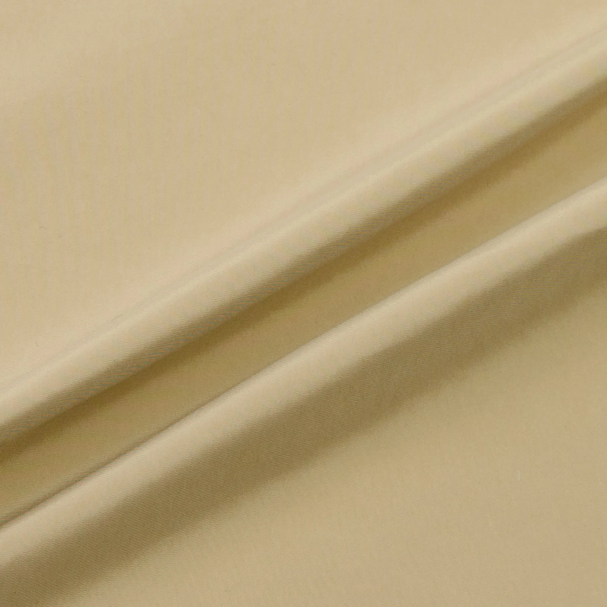 Adolfo Beige Nylon